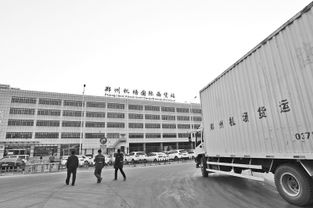 河南多式聯運提速急行 打造現代物流新引擎