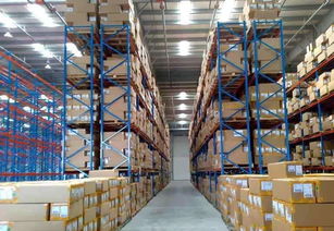 Vlog里看專業 這是不是你每天的樣子？多式聯運服務揭秘